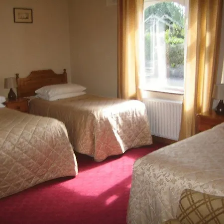 Bunratty Grove B&B 3*